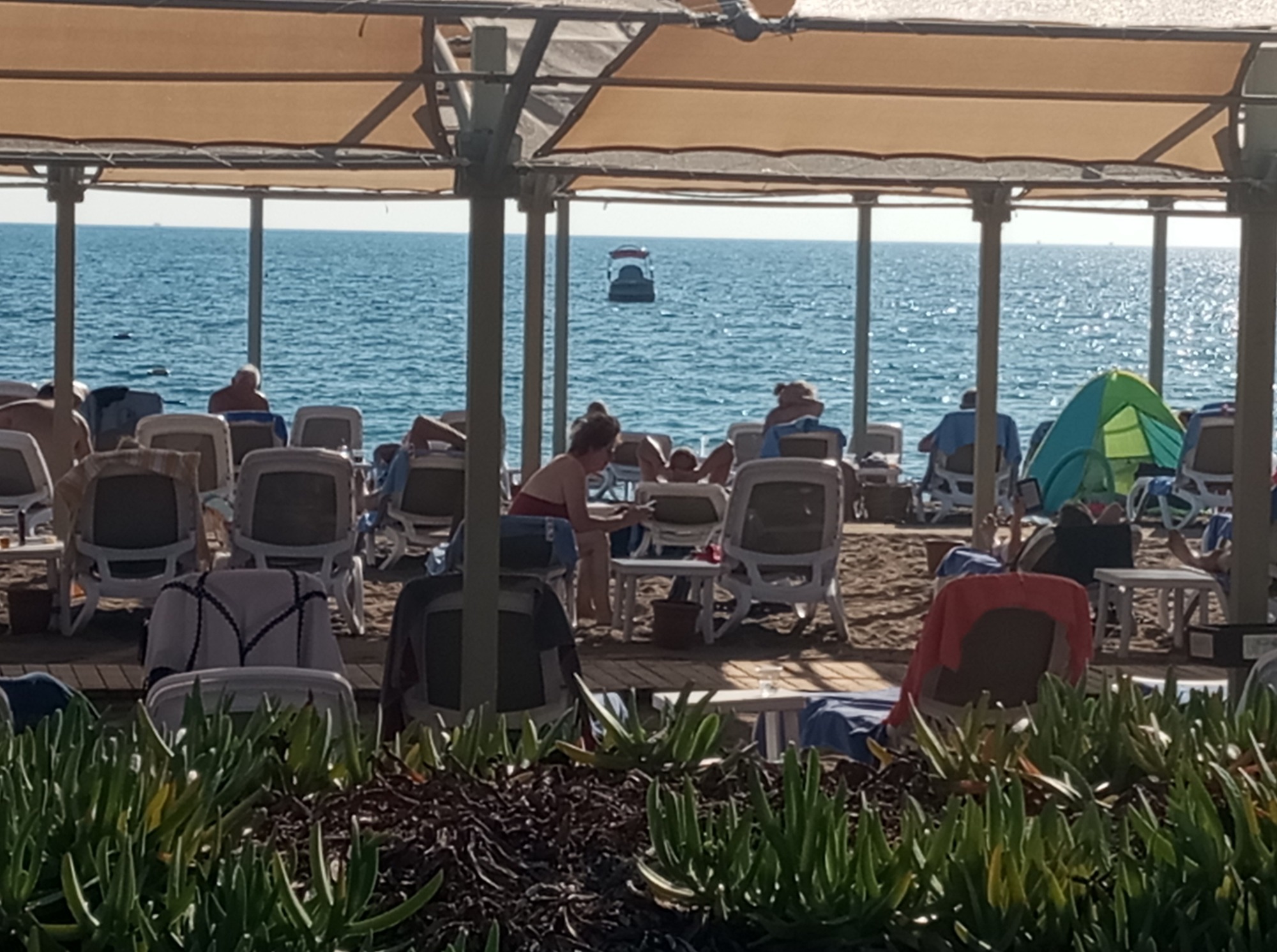 Иллюстрация к публикации