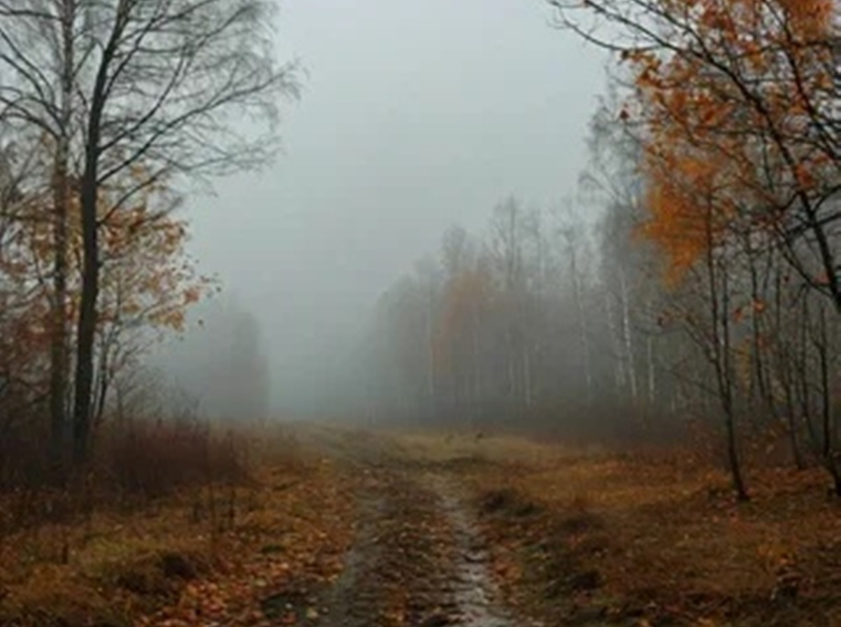 Иллюстрация к публикации