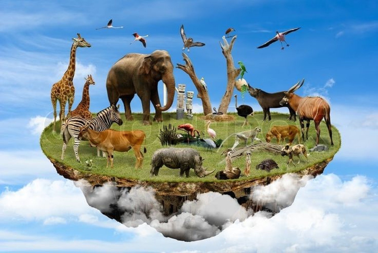 Иллюстрация к публикации