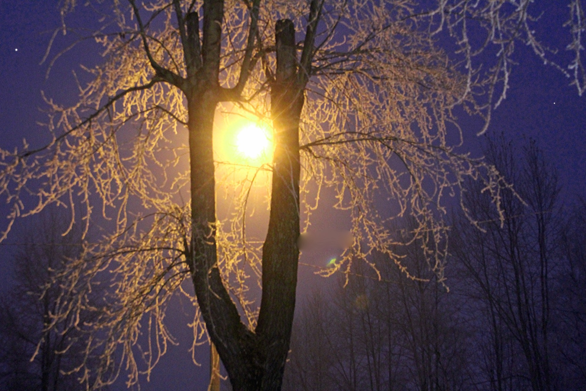 Иллюстрация к публикации