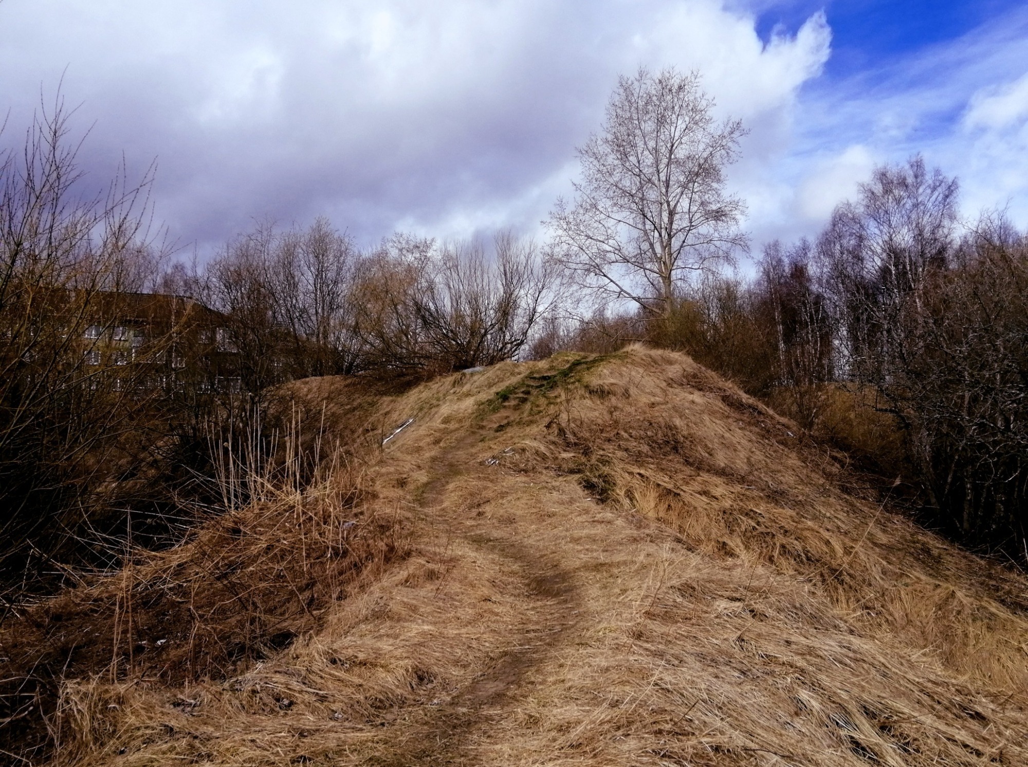 Иллюстрация к публикации
