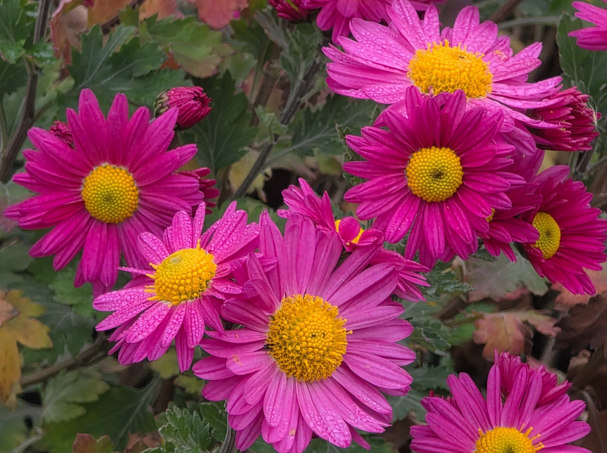 Иллюстрация к публикации