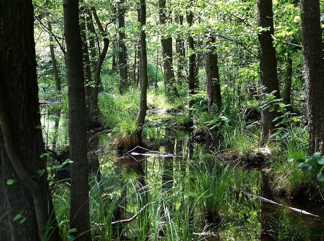 Иллюстрация к публикации