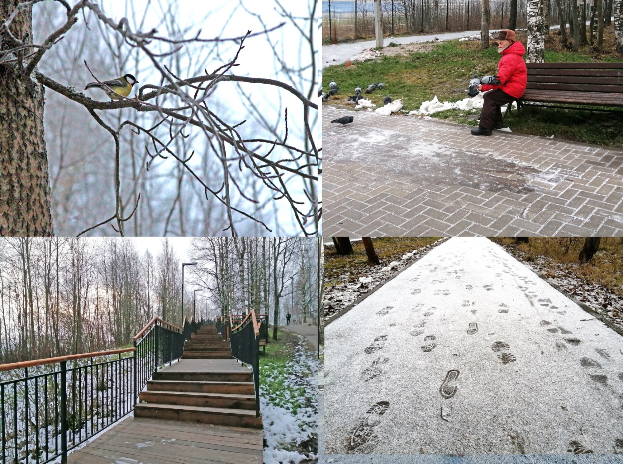 Иллюстрация к публикации