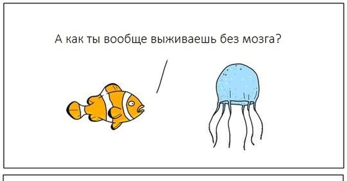 Иллюстрация к публикации