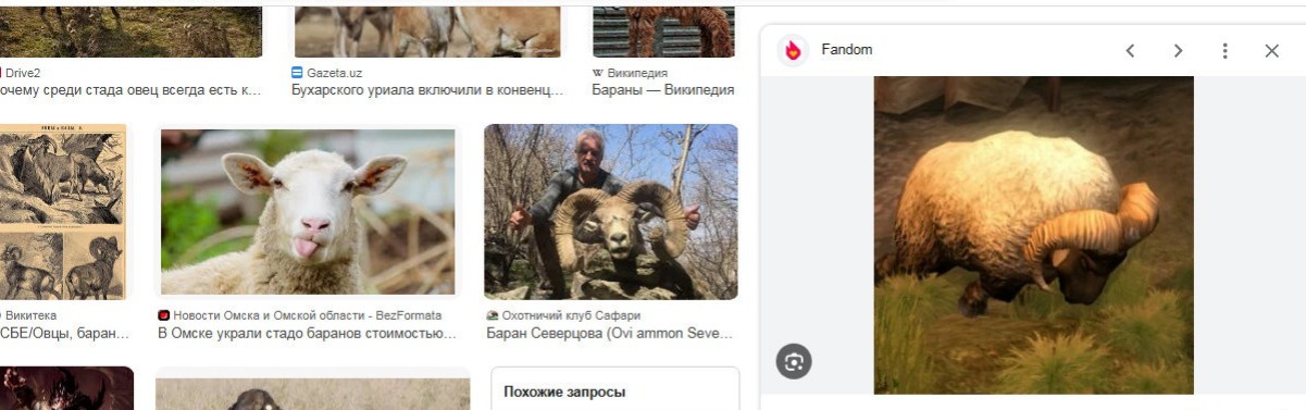 Иллюстрация к публикации