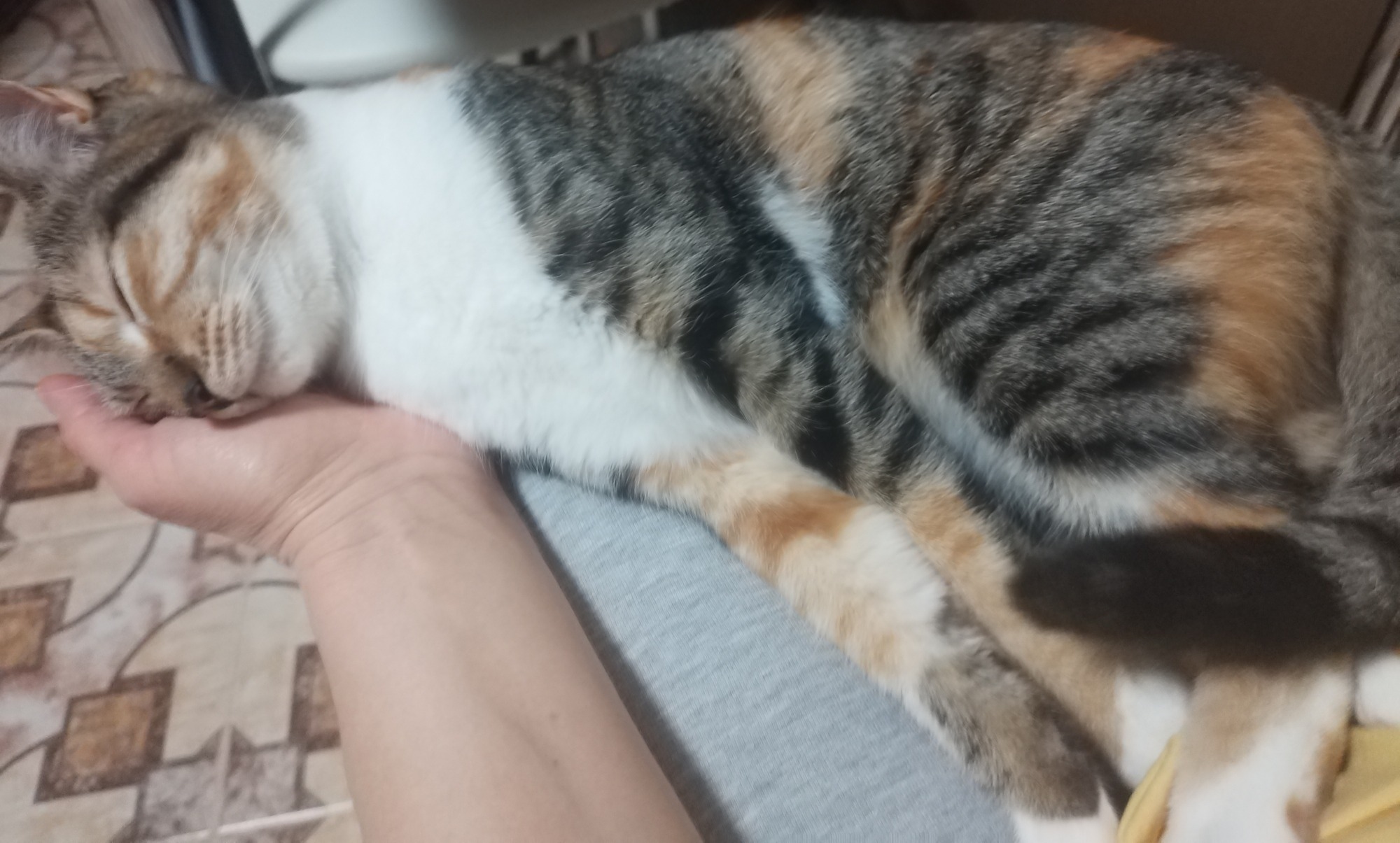 Иллюстрация к публикации