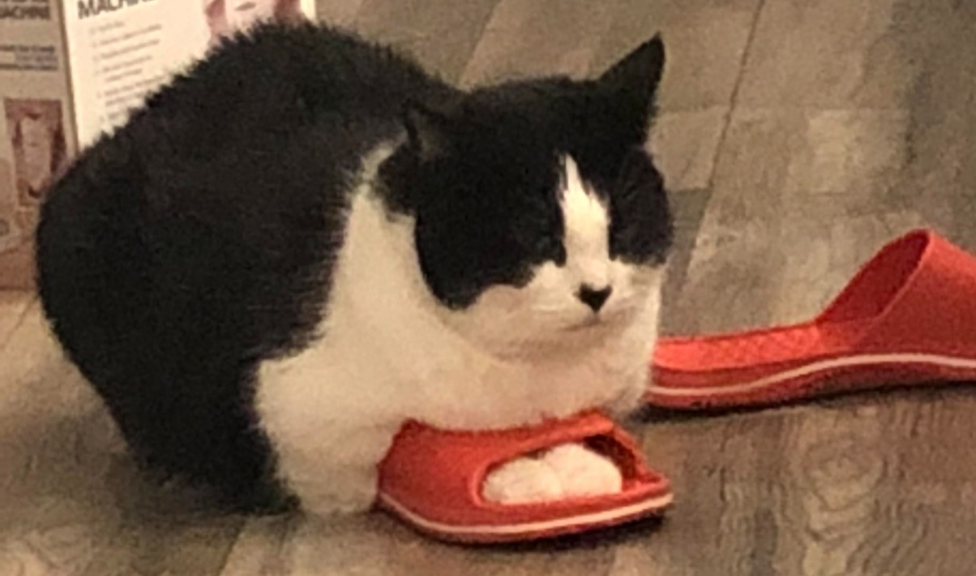 Иллюстрация к публикации