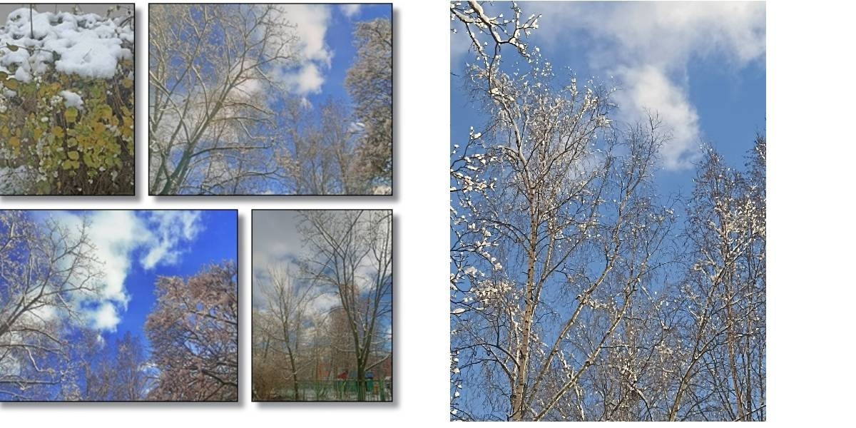 Иллюстрация к публикации