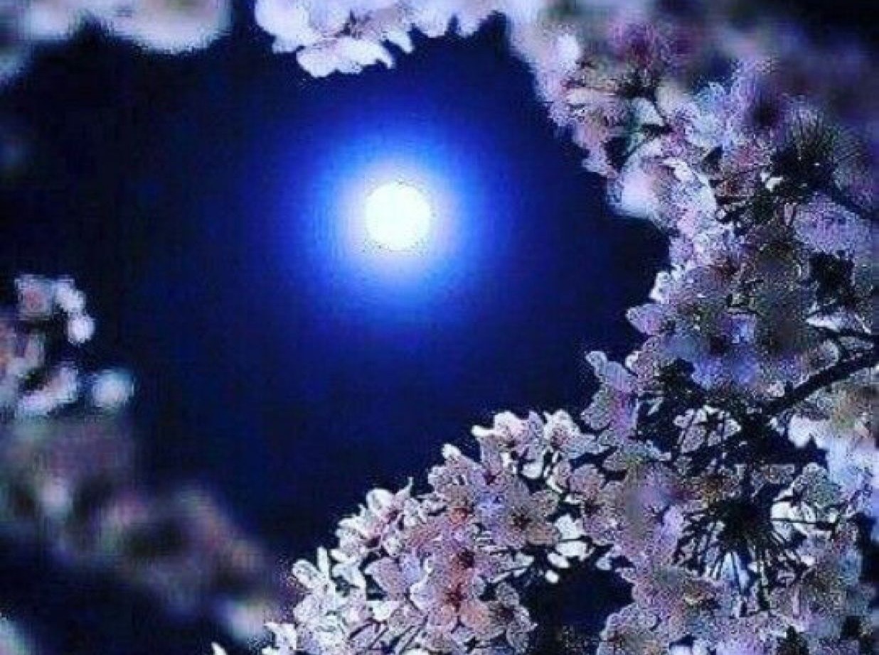 Иллюстрация к публикации