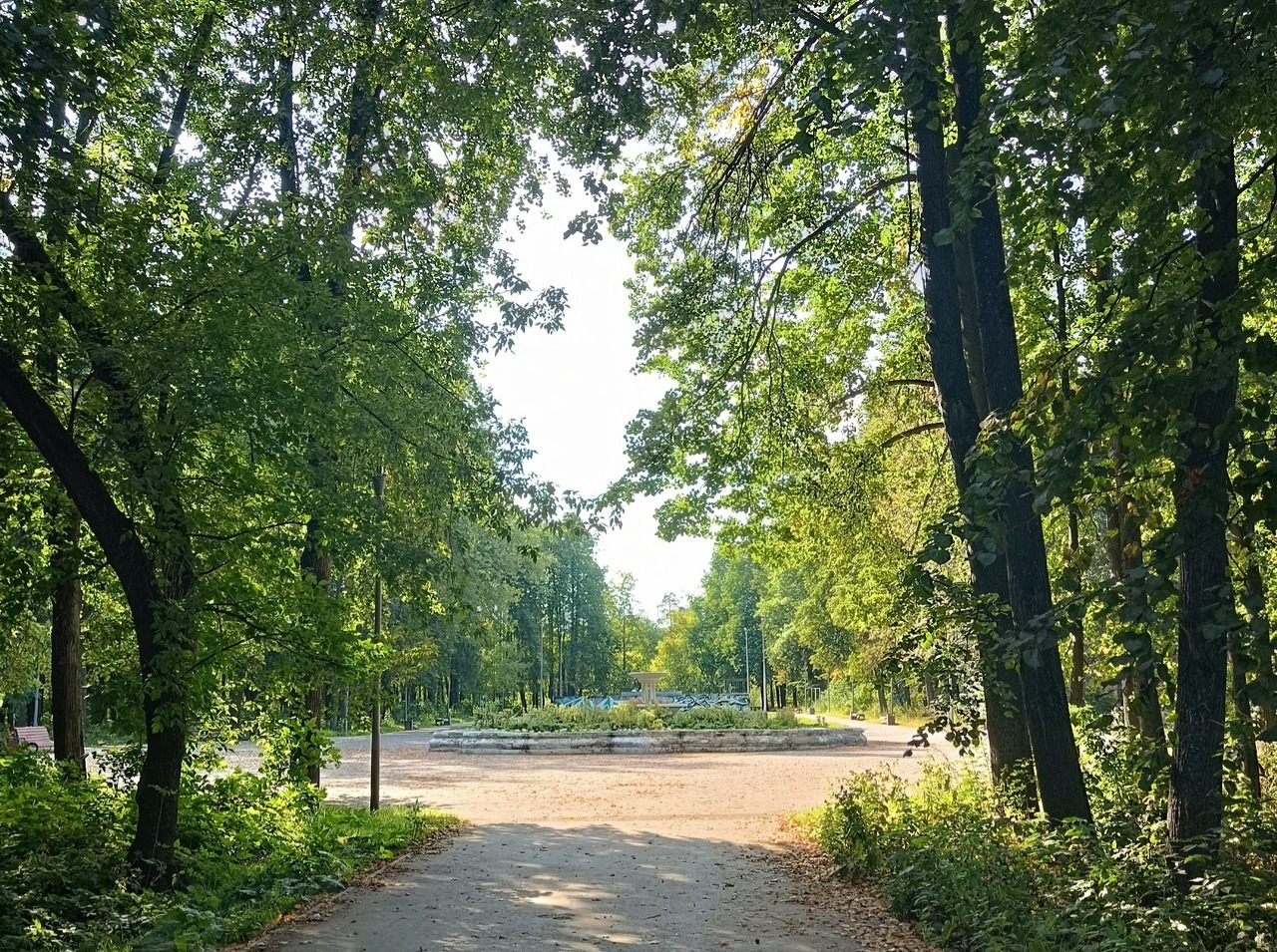 Иллюстрация к публикации