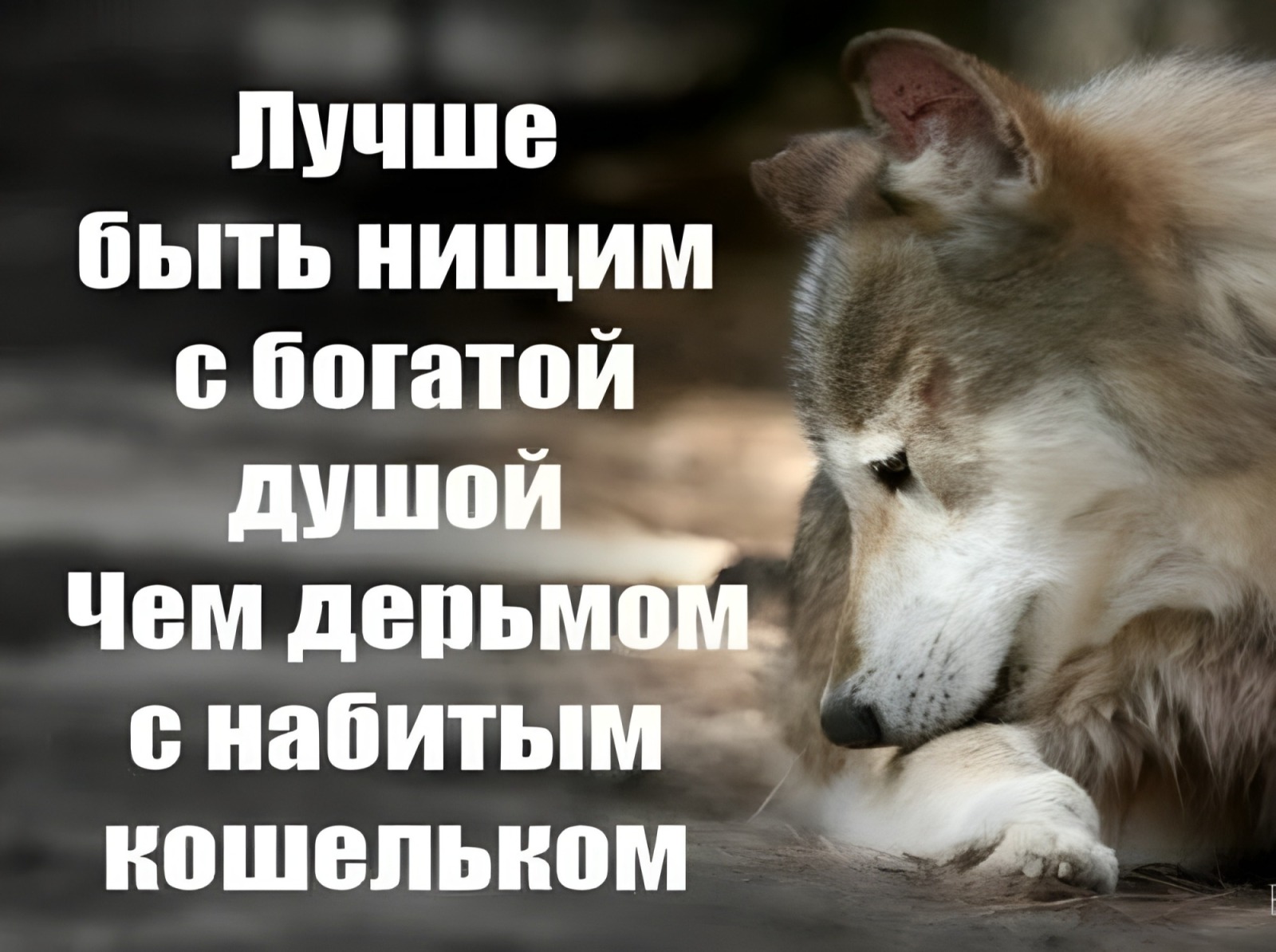 Иллюстрация к публикации