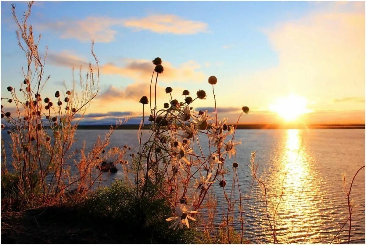 Иллюстрация к публикации