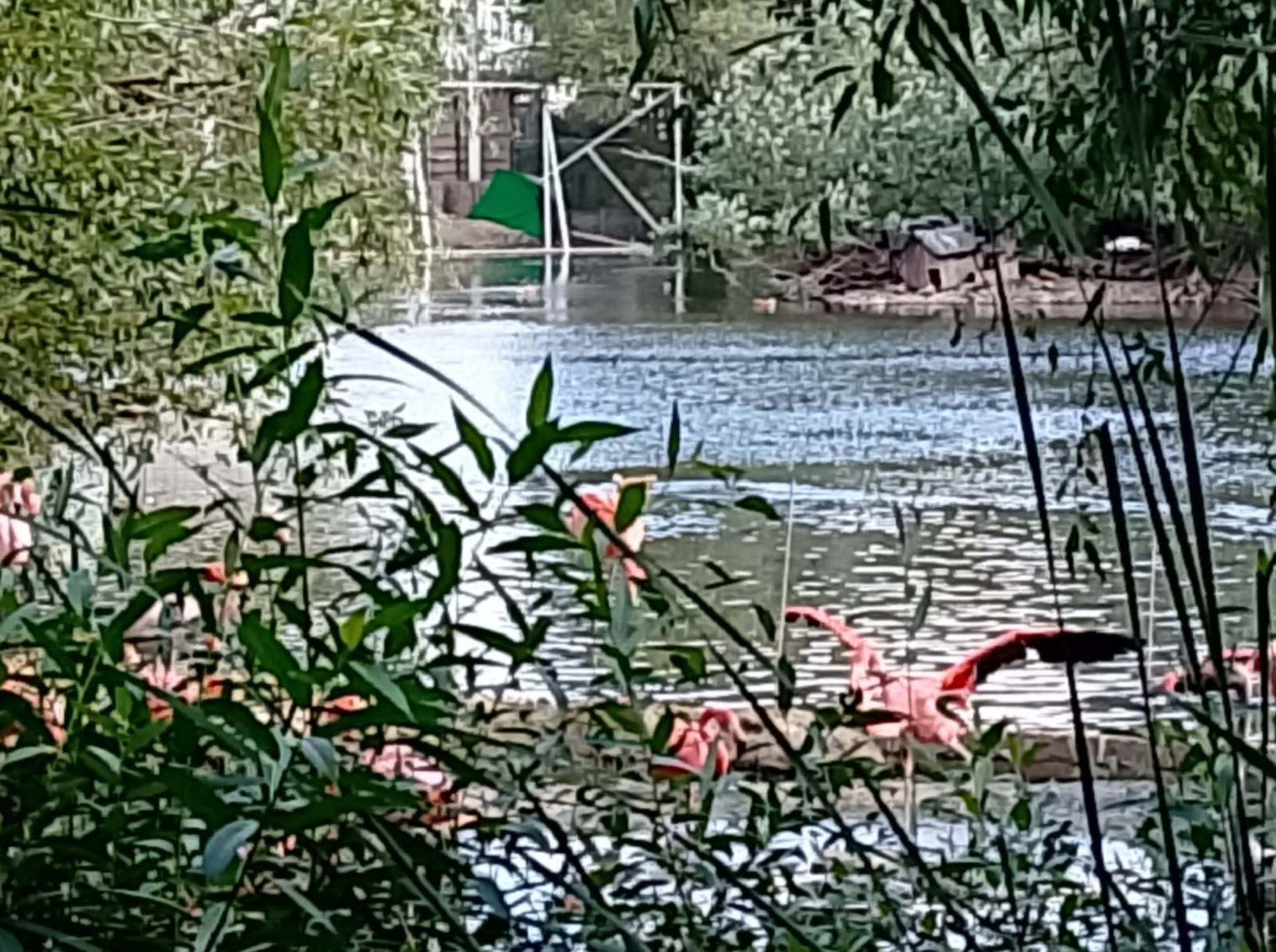 Иллюстрация к публикации