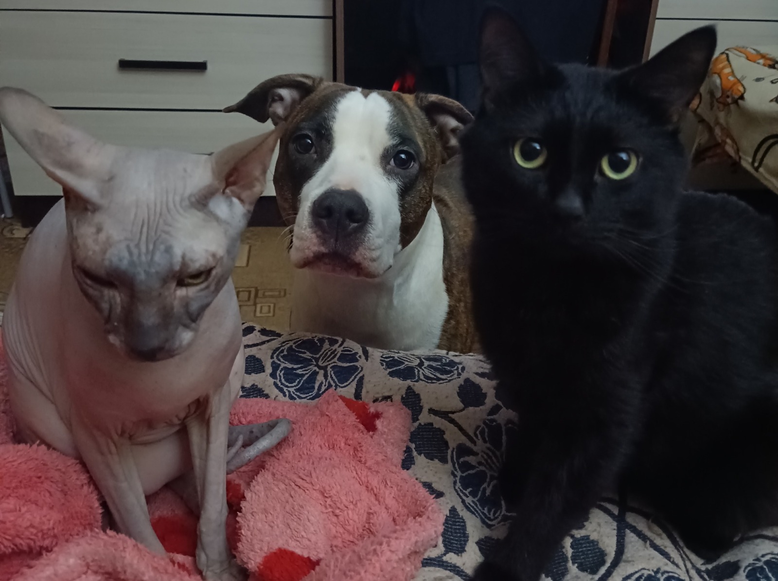 Иллюстрация к публикации