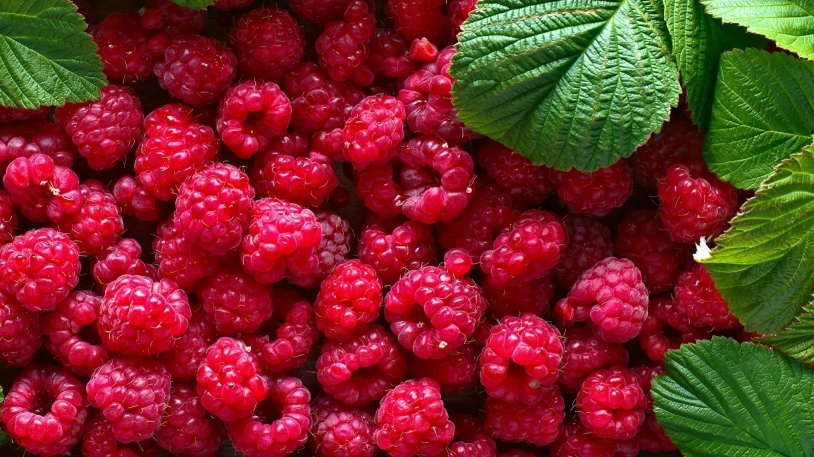 Иллюстрация к публикации