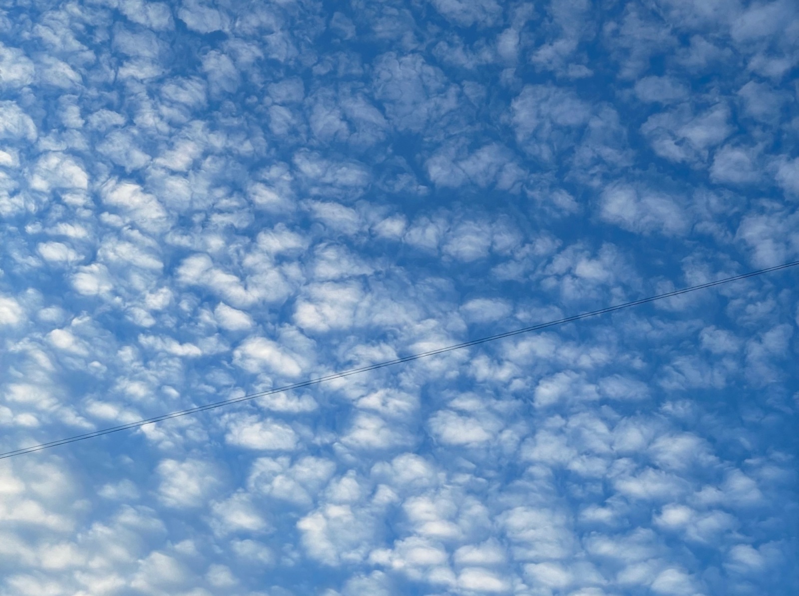 Иллюстрация к публикации