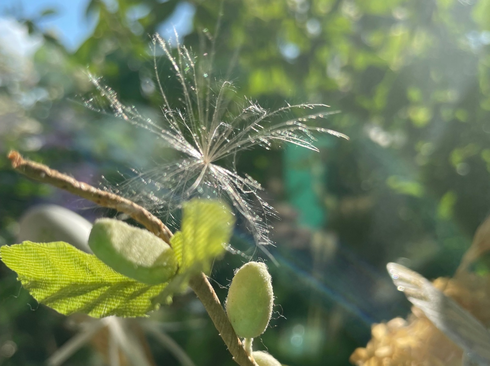 Иллюстрация к публикации