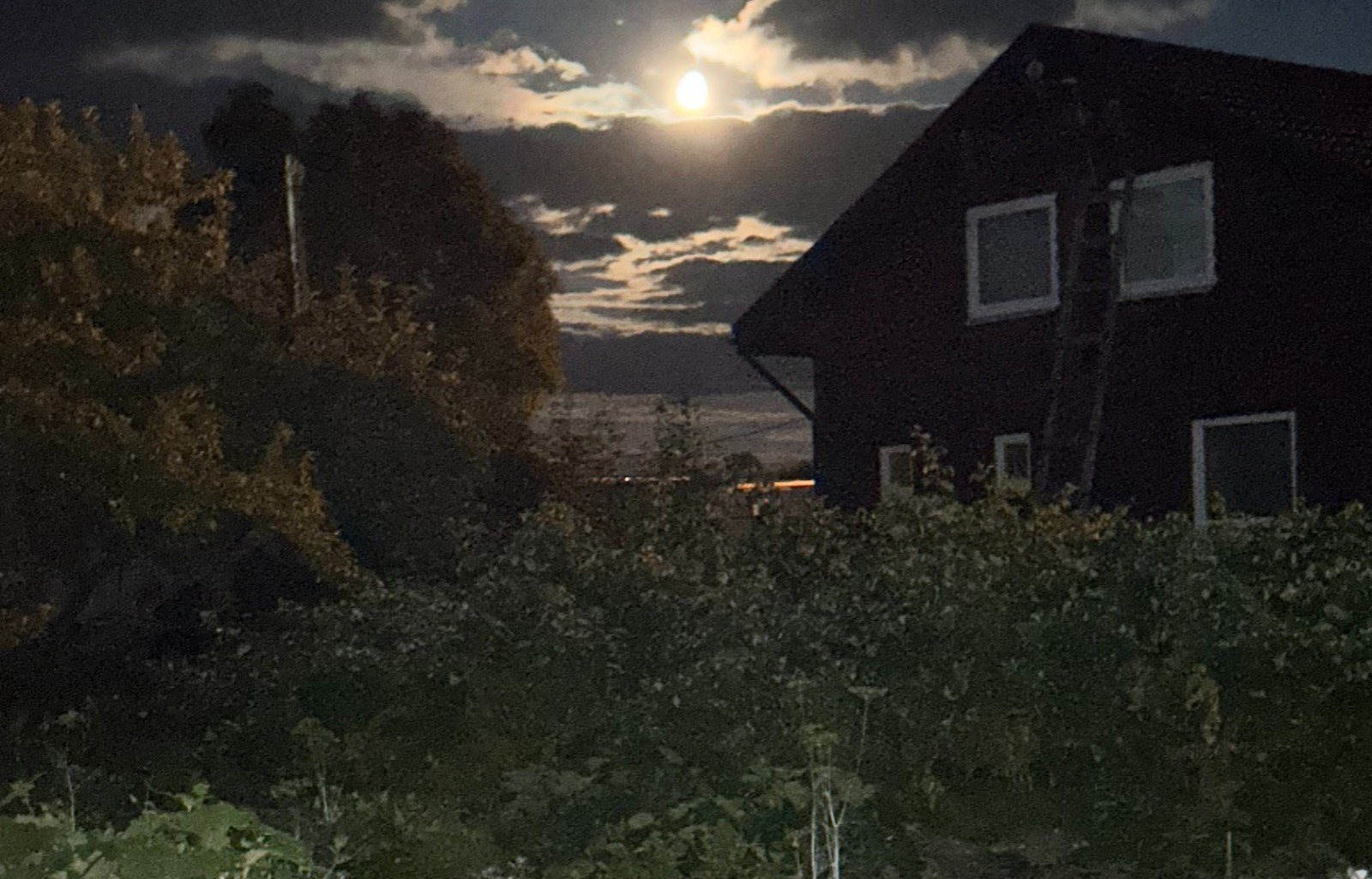 Иллюстрация к публикации