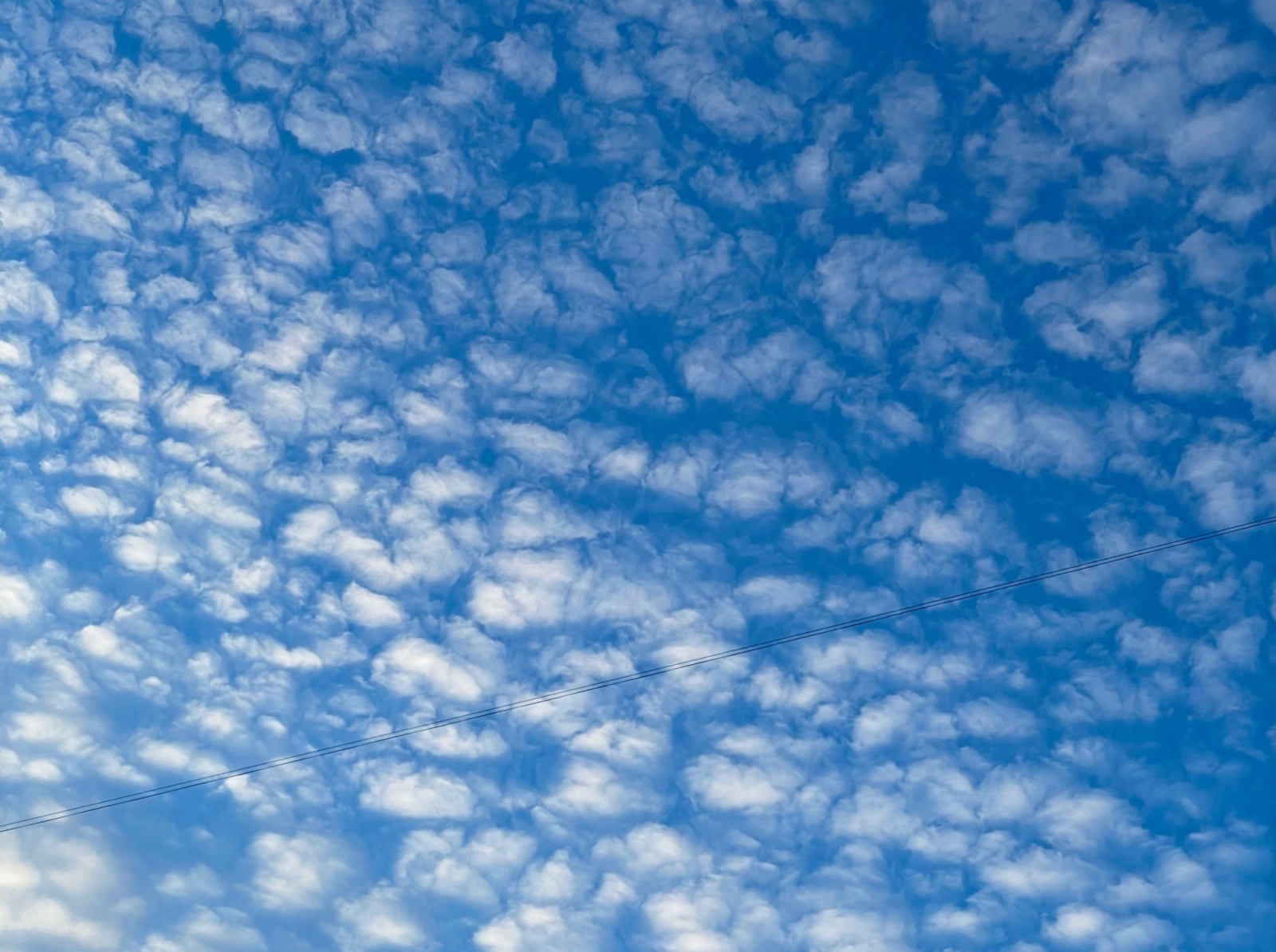 Иллюстрация к публикации