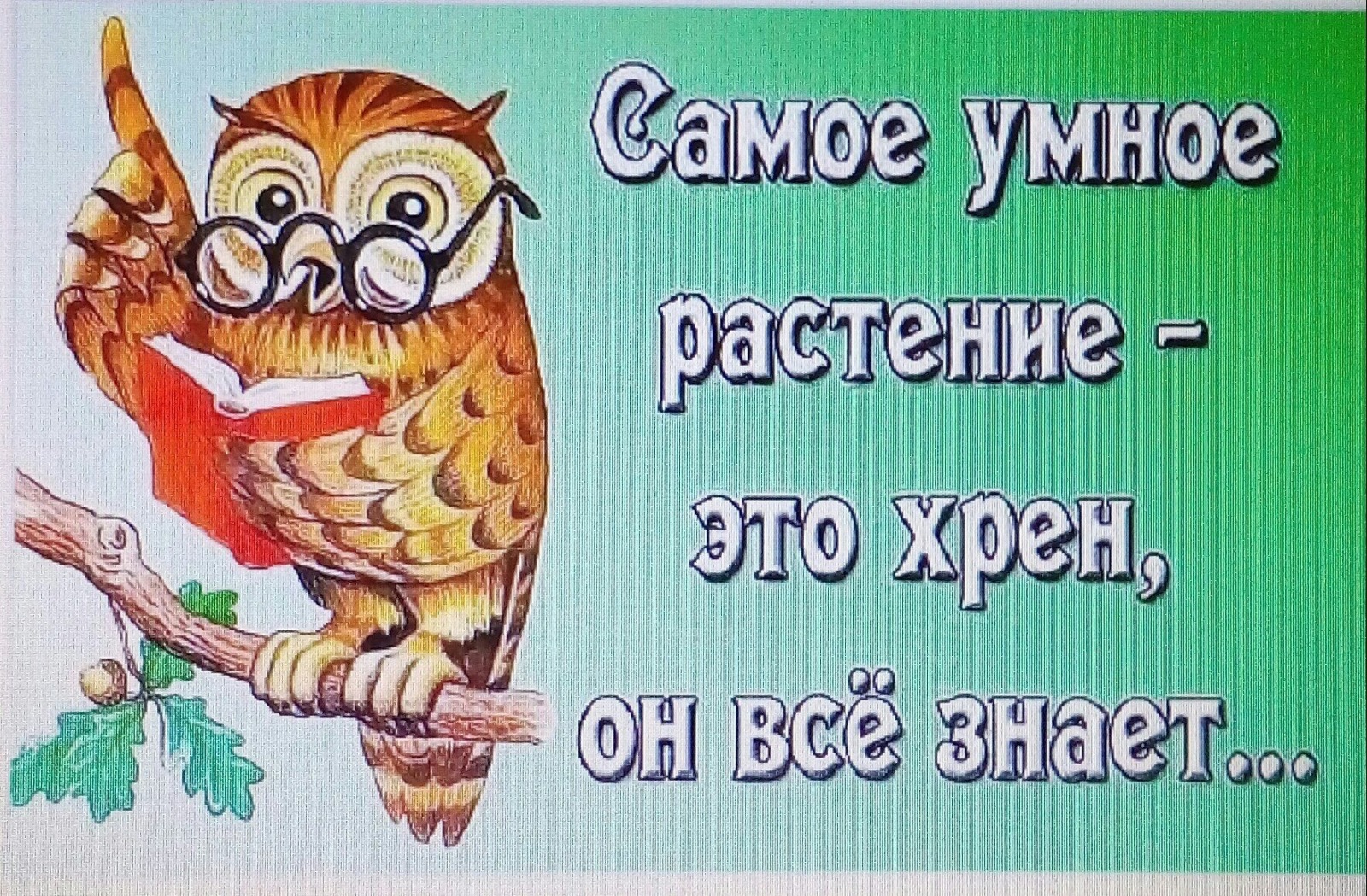 Иллюстрация к публикации