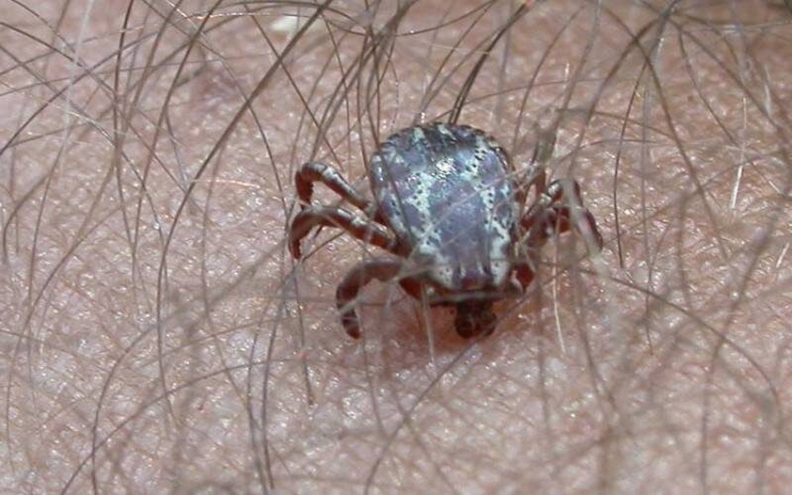 Иллюстрация к публикации