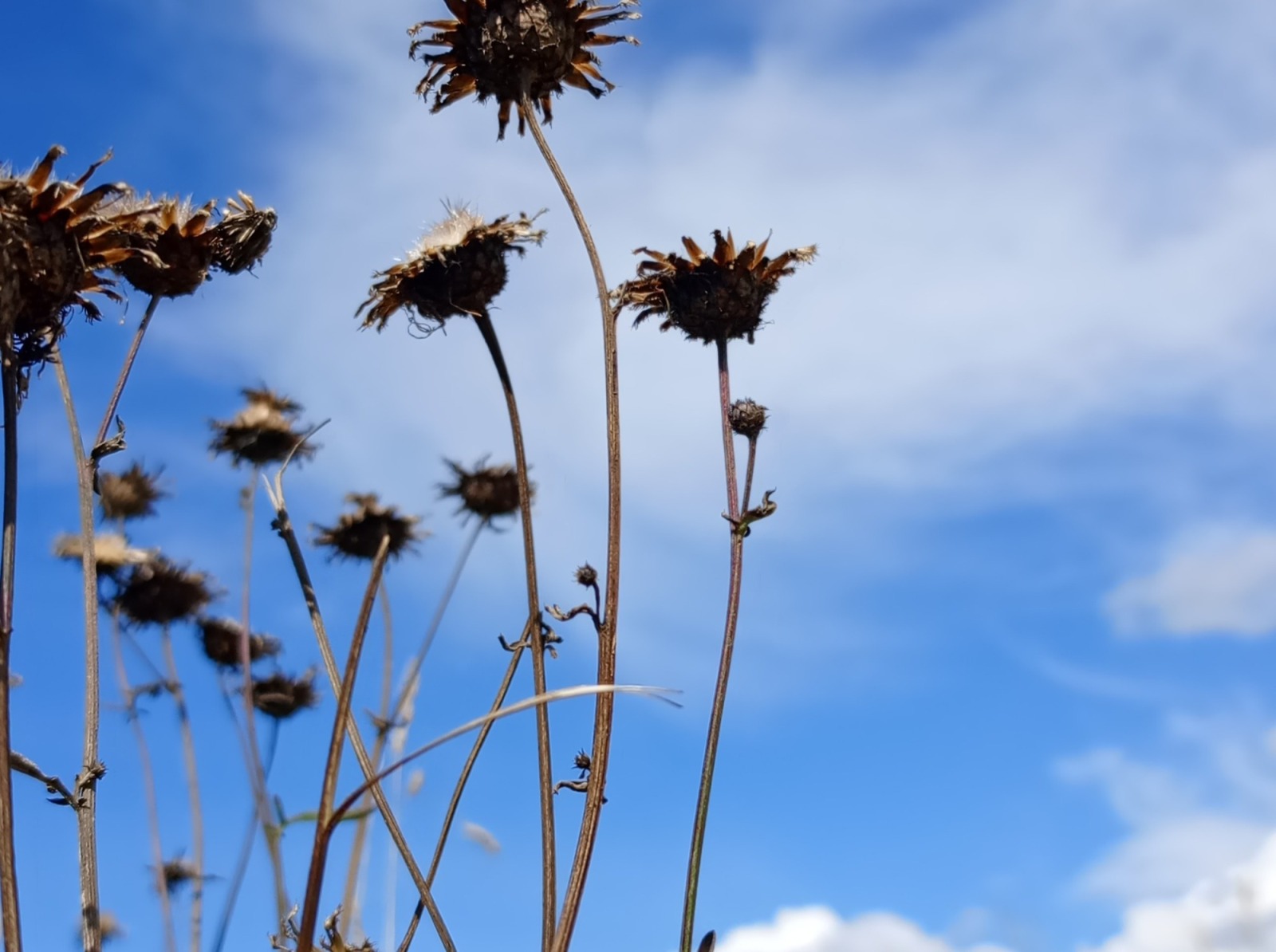 Иллюстрация к публикации