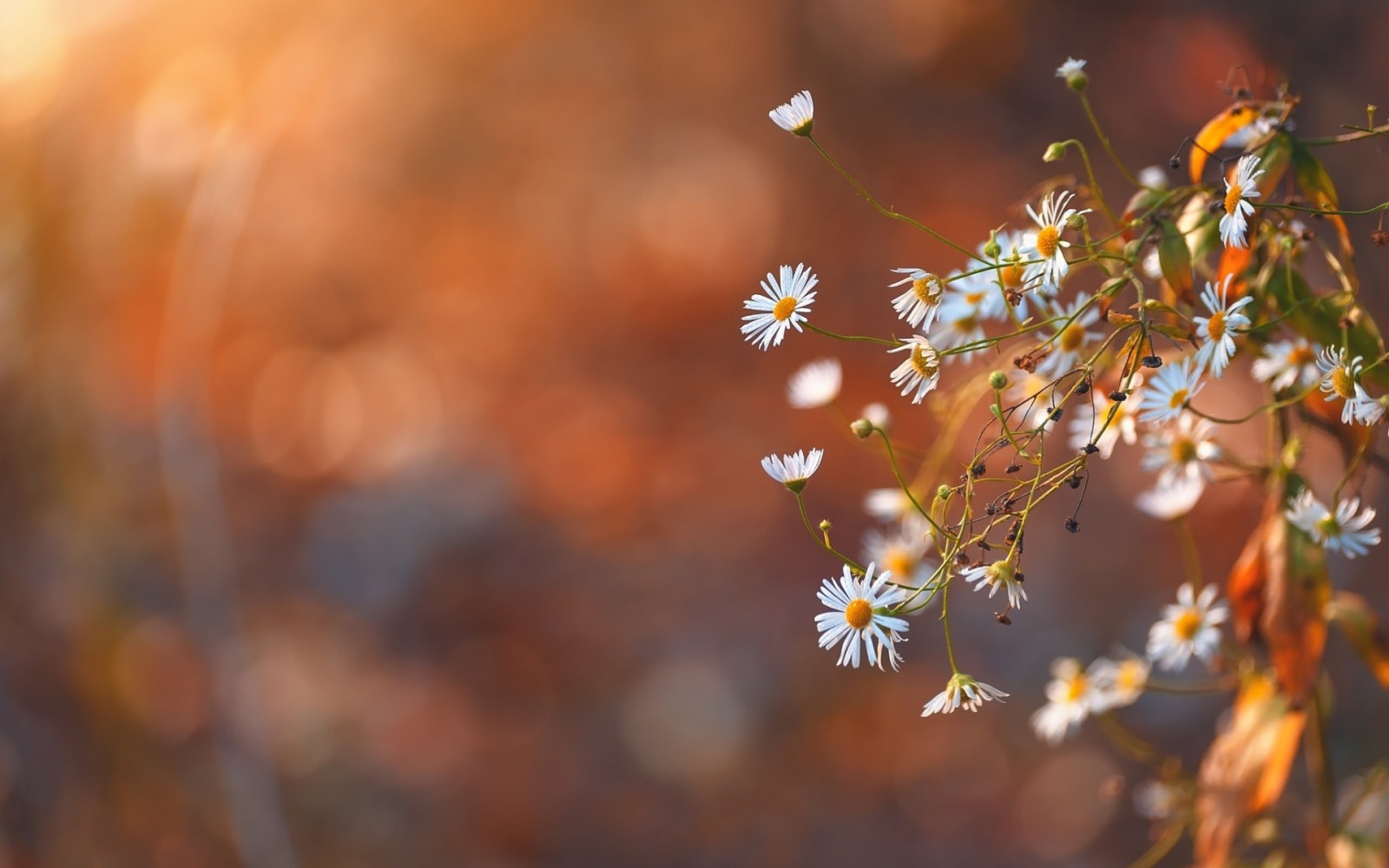 Иллюстрация к публикации