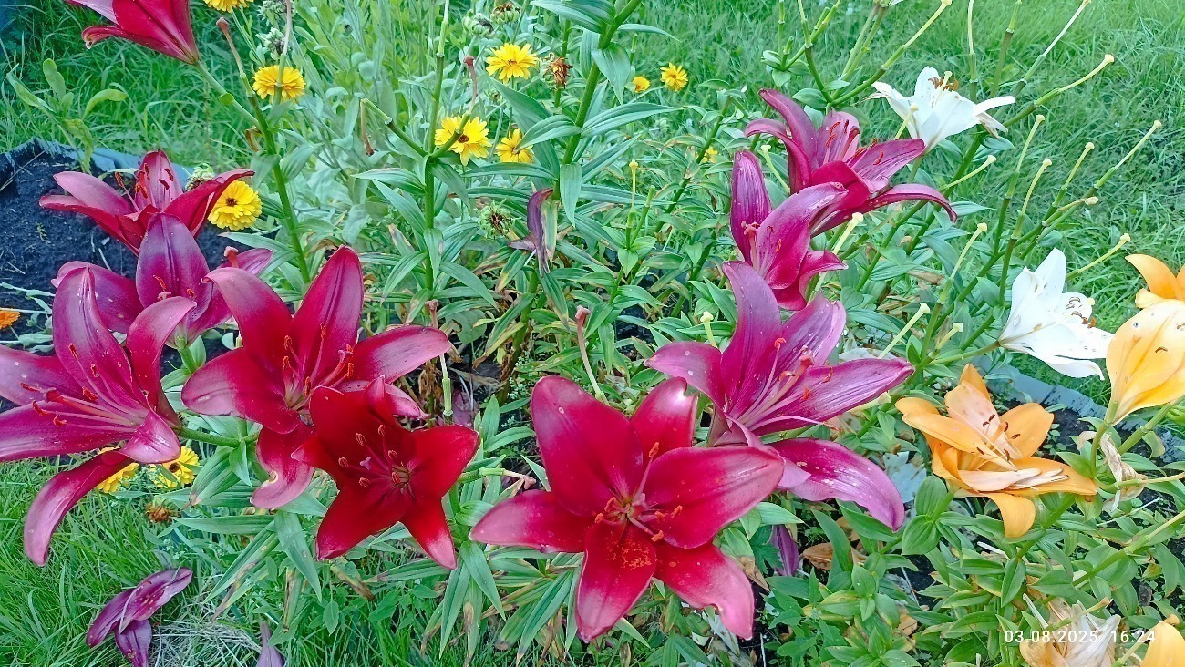 Иллюстрация к публикации