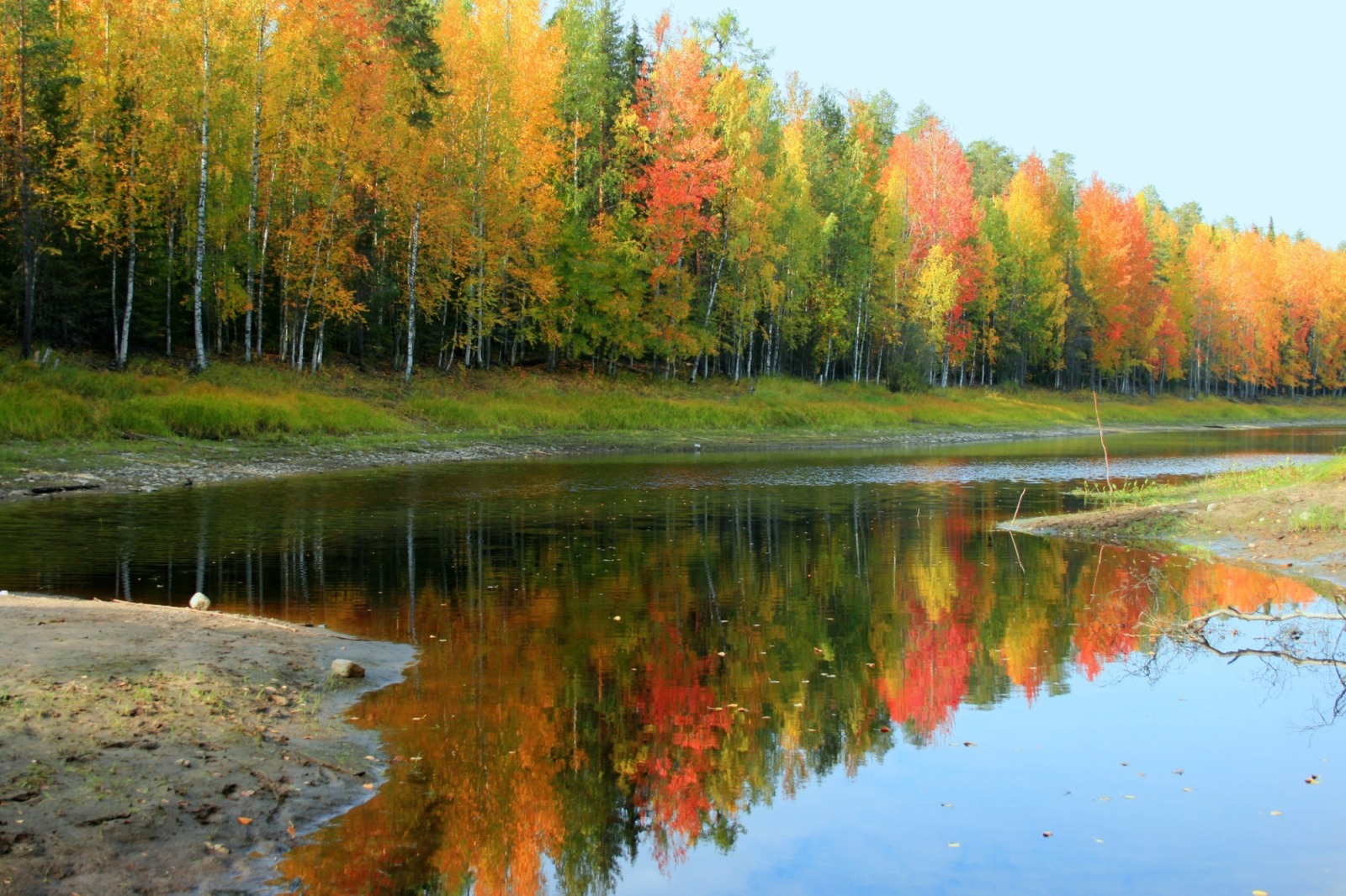 Иллюстрация к публикации