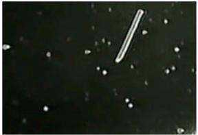 2153662-9007