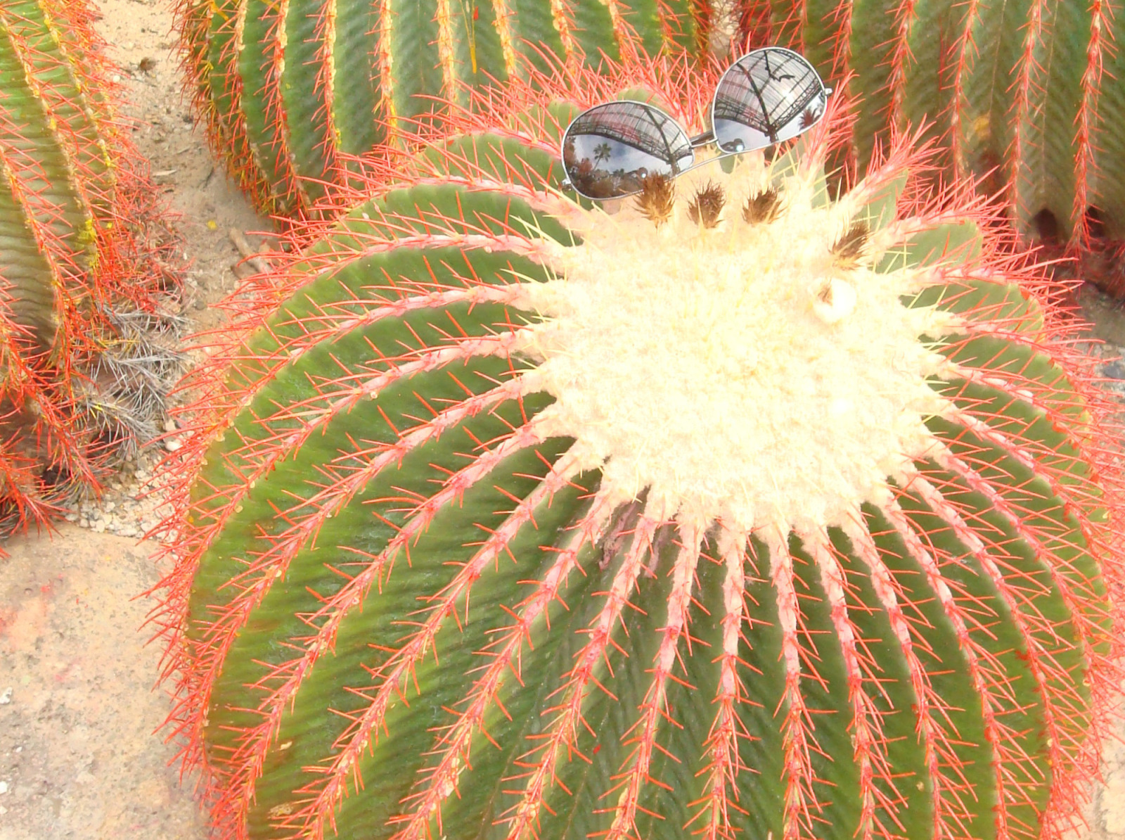 Иллюстрация к публикации