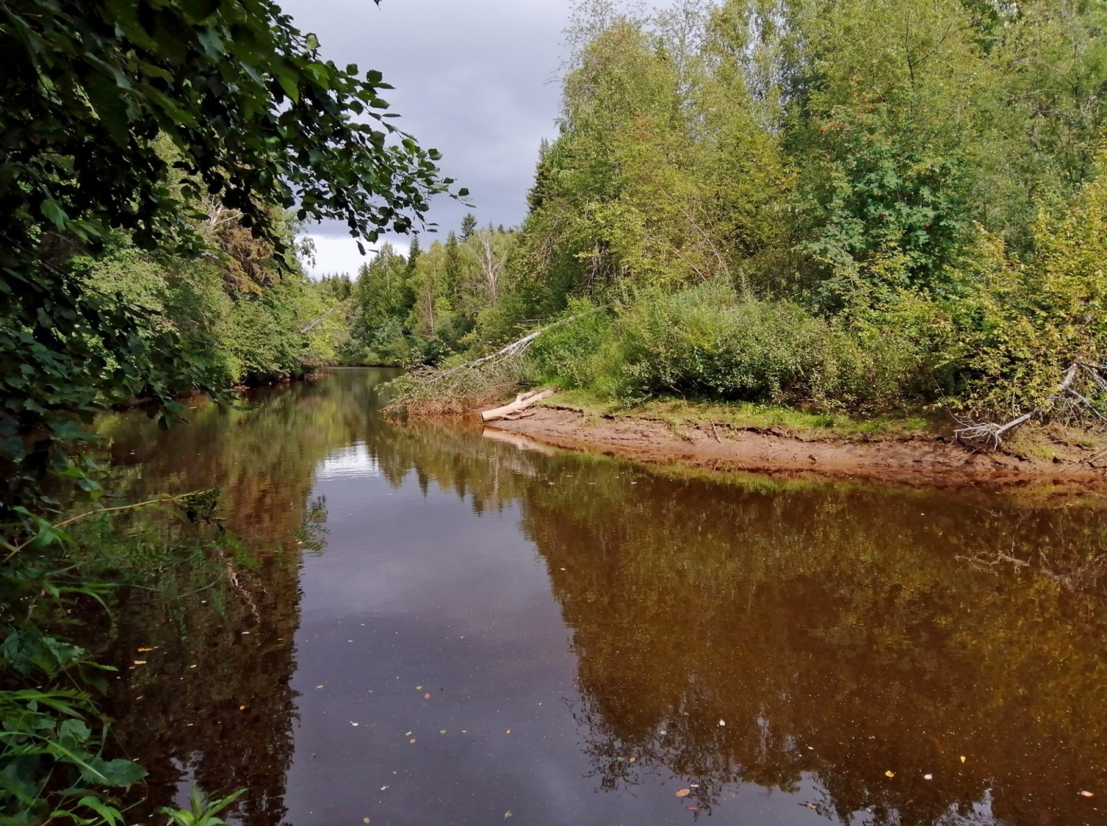 Иллюстрация к публикации