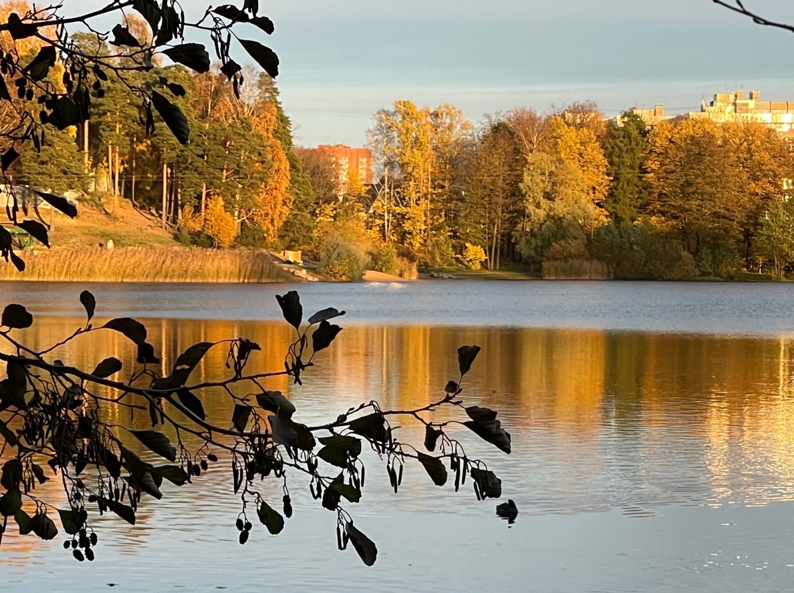 Иллюстрация к публикации