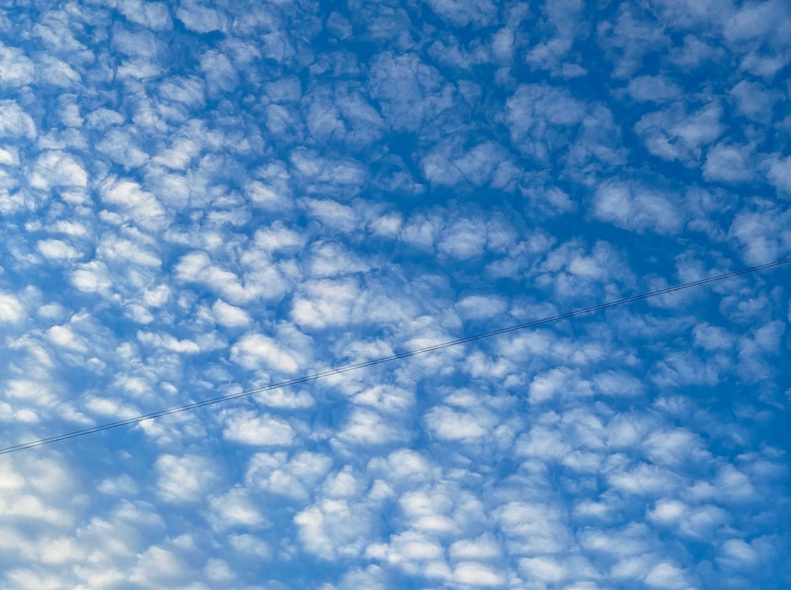 Иллюстрация к публикации