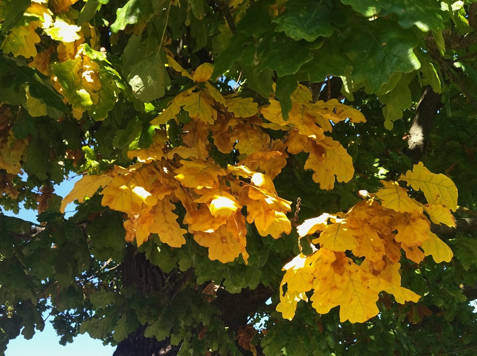 Иллюстрация к публикации