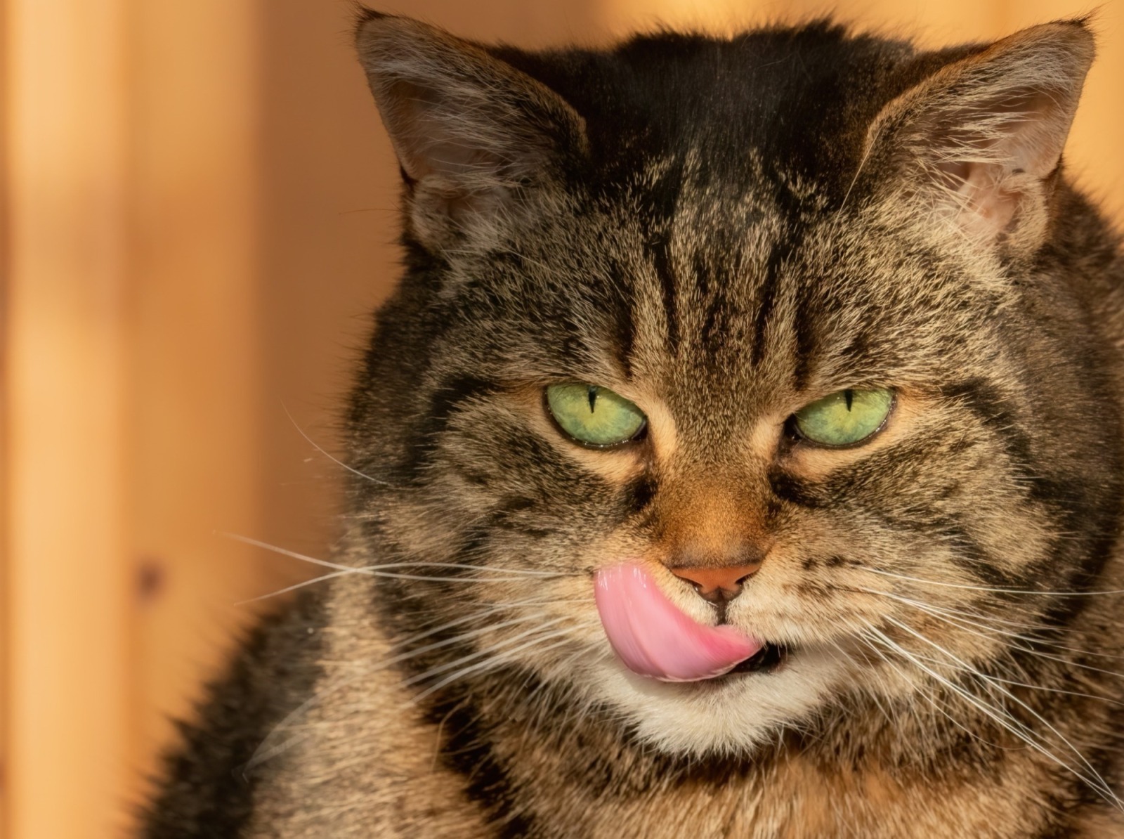 Иллюстрация к публикации