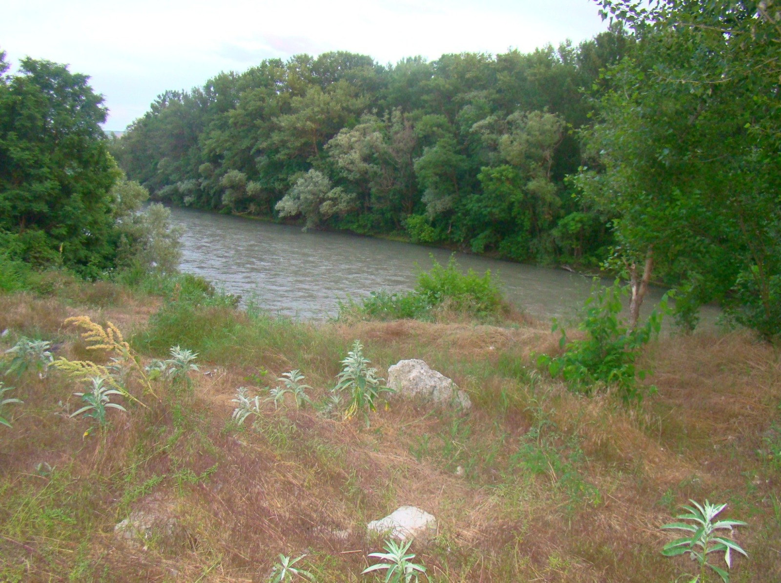 Иллюстрация к публикации