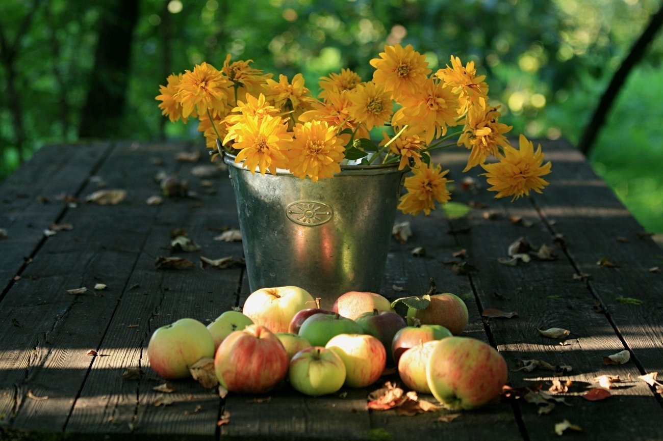 Иллюстрация к публикации