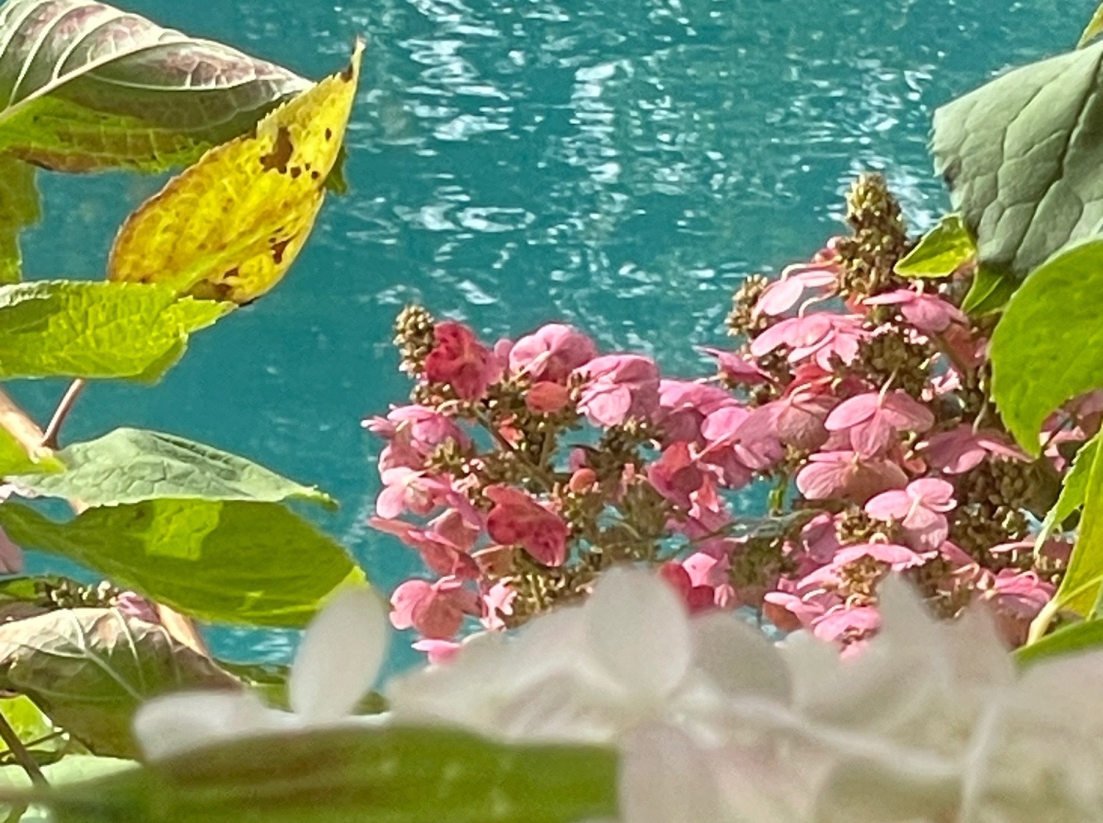 Иллюстрация к публикации