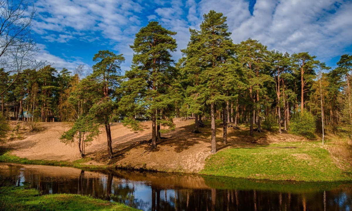 Иллюстрация к публикации