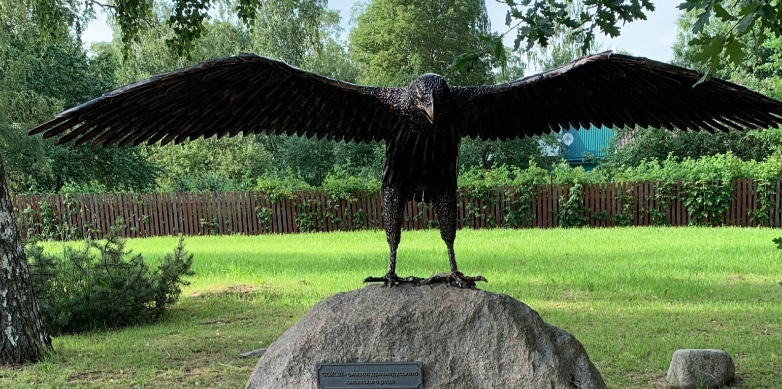 Иллюстрация к публикации