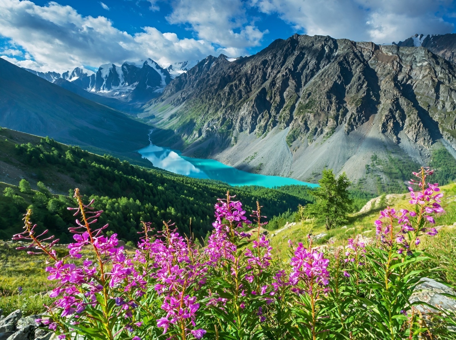 Иллюстрация к публикации