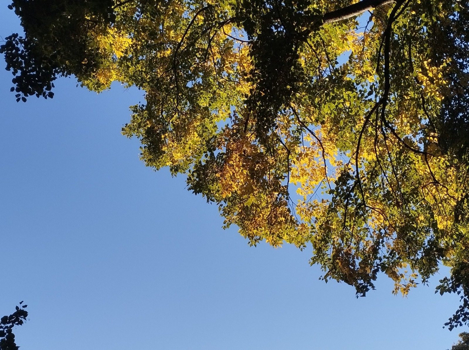 Иллюстрация к публикации