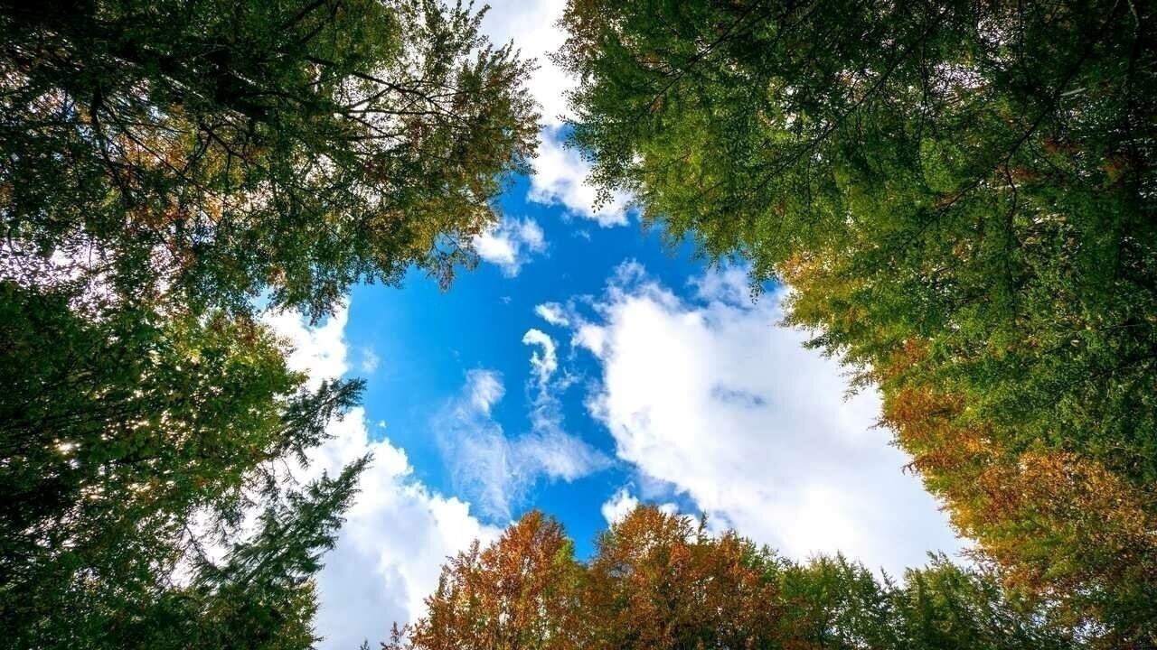 Иллюстрация к публикации