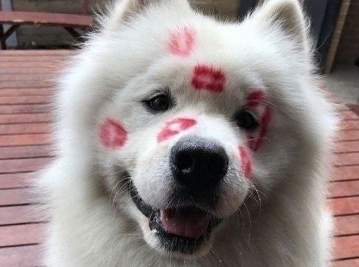 Иллюстрация к публикации