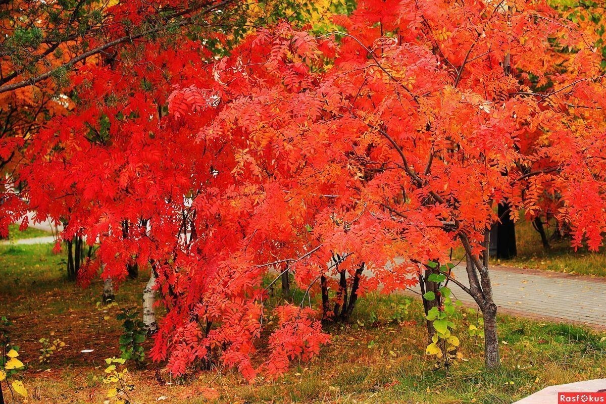 Иллюстрация к публикации