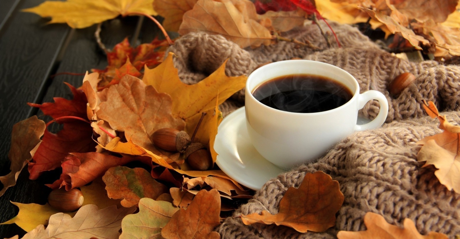 Иллюстрация к публикации