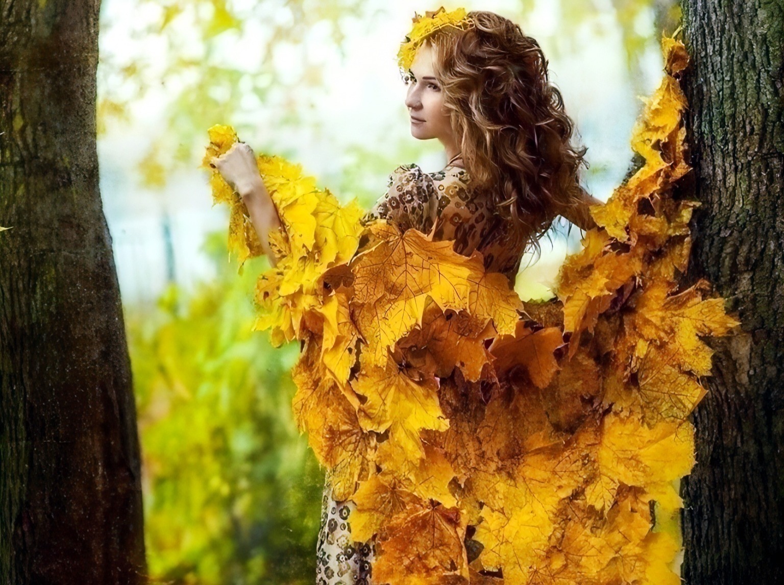 Иллюстрация к публикации