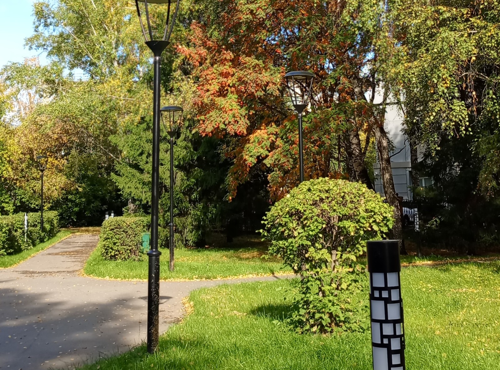 Иллюстрация к публикации